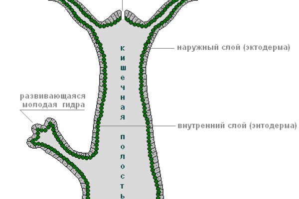 Магазин кракен даркнет сайт