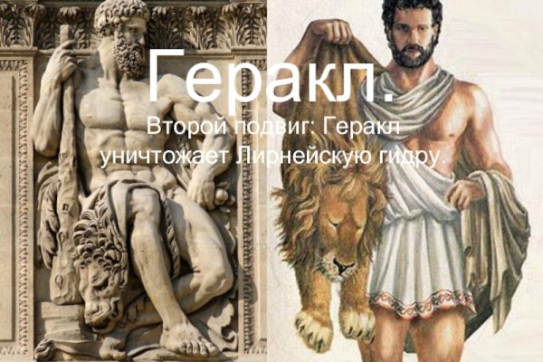 Ссылка на кракен
