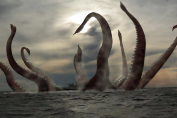 Kraken 25 at