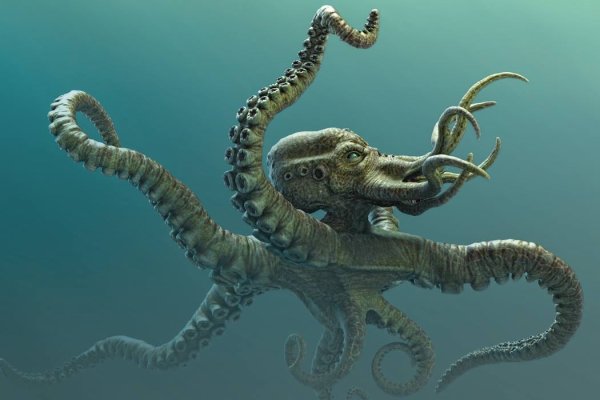 Kraken это
