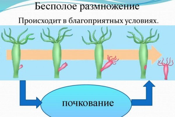 Кракен ссылка оригинал